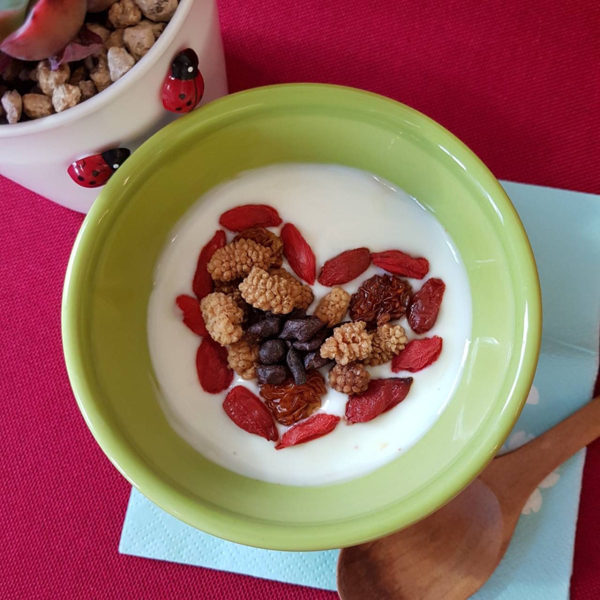 Organic super woman superberry yogurt bowl with goji berries, mulberries, golden incan berries and sweet cacao nibs recipe