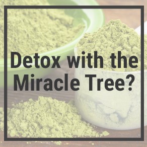 Detox with the Miracle Tree