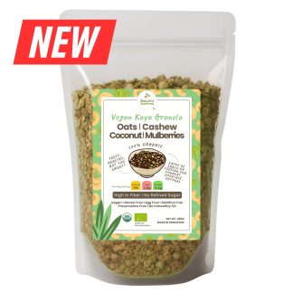 Granola Vegan Kaya Front (NEW)
